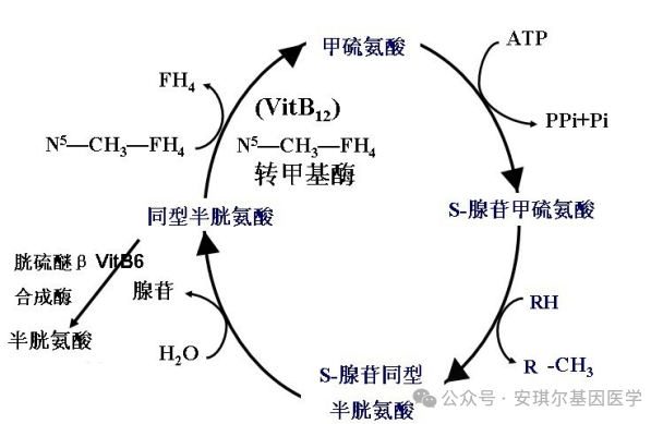 6793319ede2d5.png