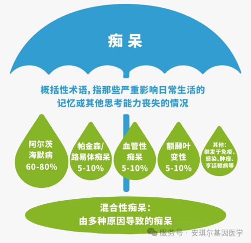 67cab064222a4.png