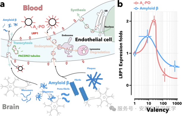 69045e0f19d17.png 69045e0f19d17.png