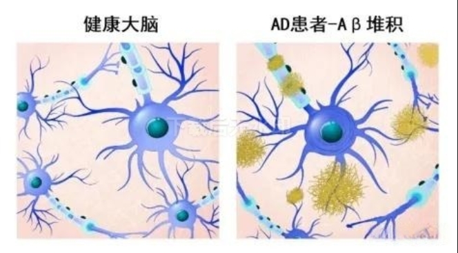 690d54b3386ba.png 690d54b3386ba.png