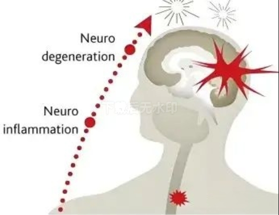 690d572eae750.png 690d572eae750.png