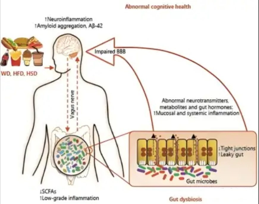 690d5a4306445.png 690d5a4306445.png