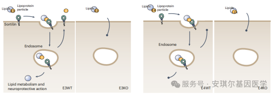 690da14adc988.png 690da14adc988.png