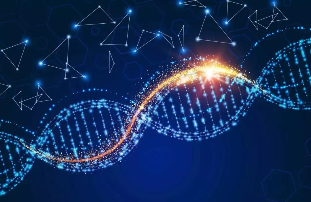 hi-c,wgs,光学图谱三位一体,癌症基因组结构变异检测实现新突破!