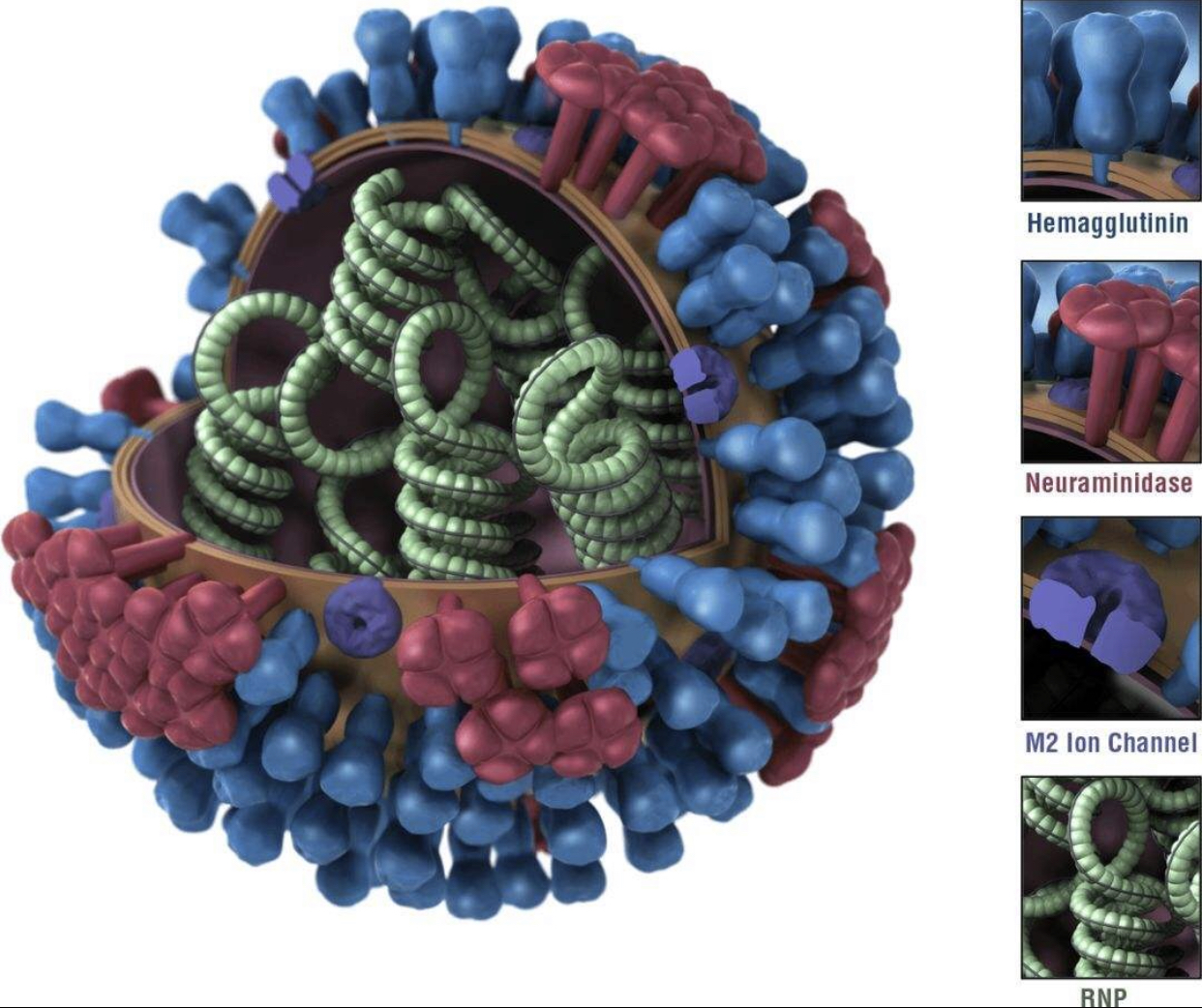 病毒,风靡全球最完美的产品