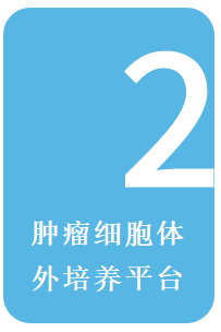 661e3477a2c8e.png