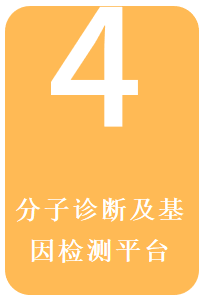 661e34887fdd8.png