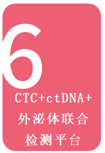 661e349a89795.png