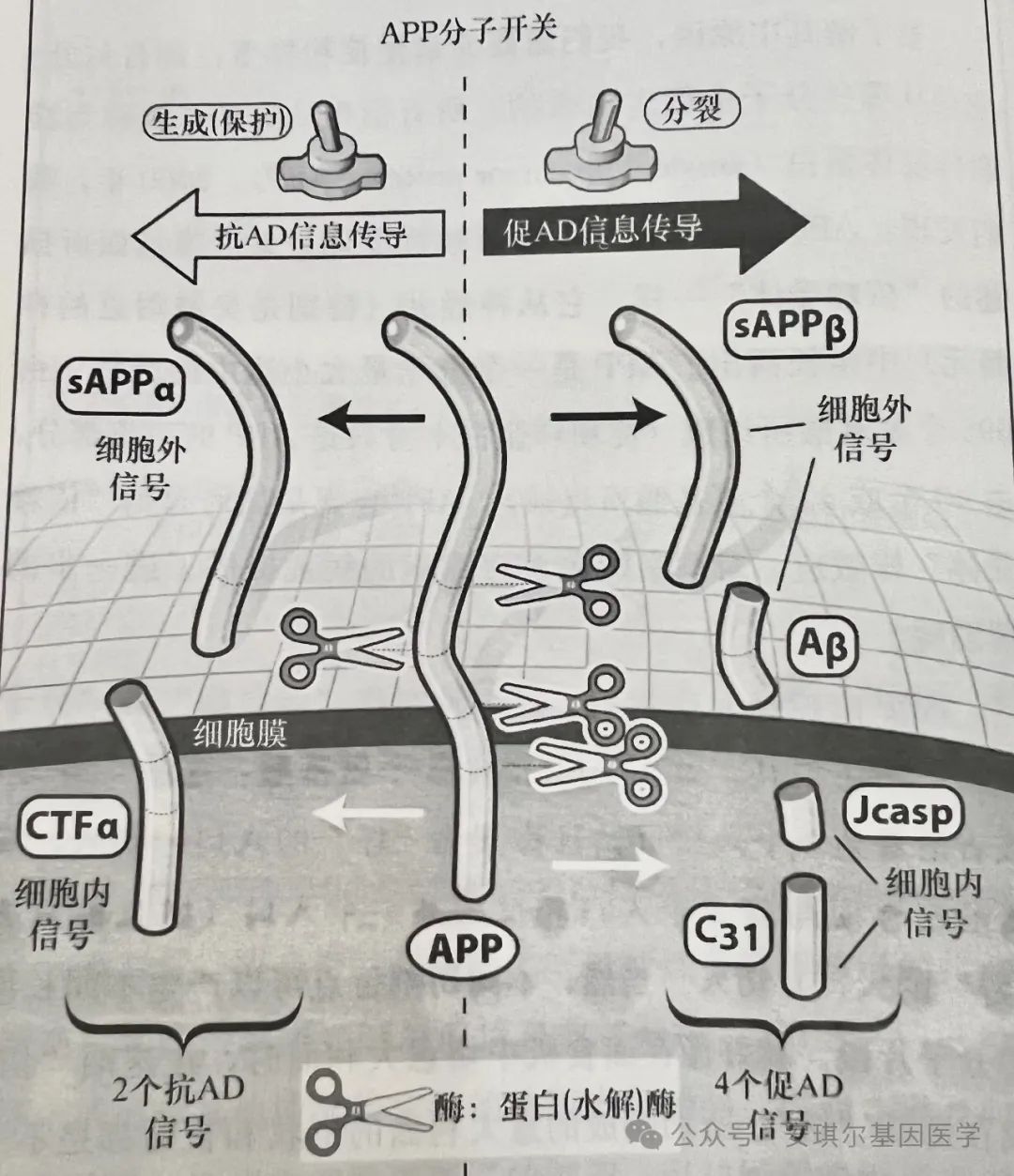672884c4a3c4d.jpg 672884c4a3c4d.jpg