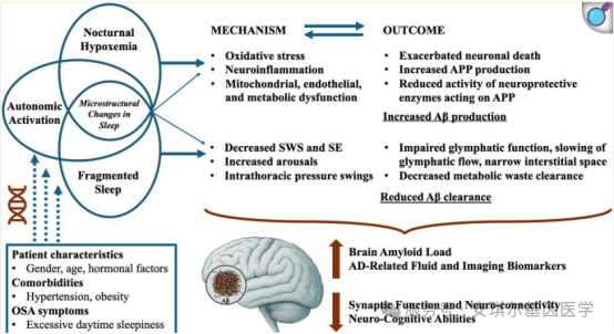 6969a878c40f6.png 6969a878c40f6.png