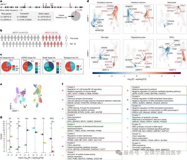 6969b551d7c29.png 6969b551d7c29.png