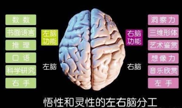 6982f39d976c4.png 6982f39d976c4.png