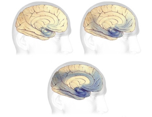 6982f3c92426c.png 6982f3c92426c.png