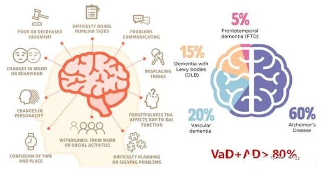 69845503cfb6e.png 69845503cfb6e.png